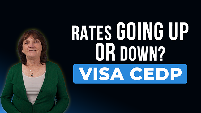 Understanding New Visa Rules for B2B and B2G Merchants in Order to Save Huge $ on Rates featured image